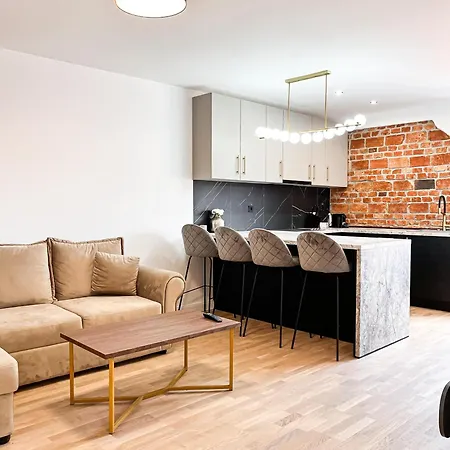 November - Newly Renovated Near Theatre, Old Town 公寓 布拉索夫